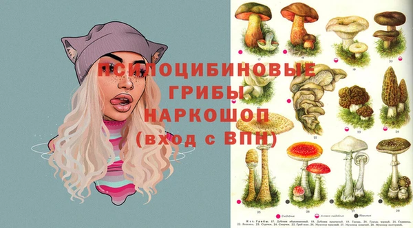 2c-b Абдулино