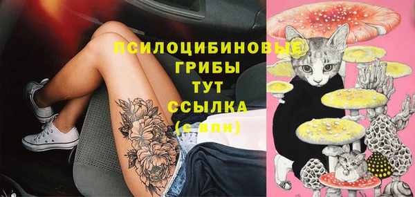 герыч Алексин