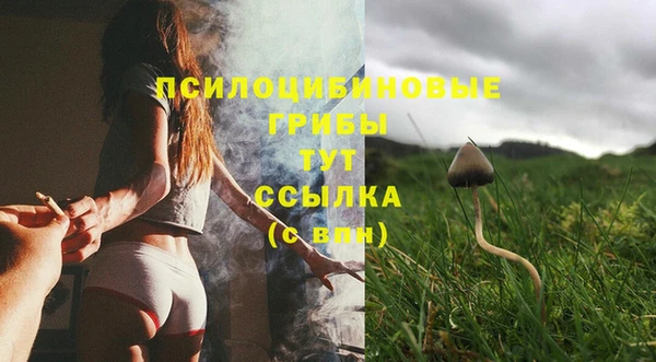 прущая мука Абаза