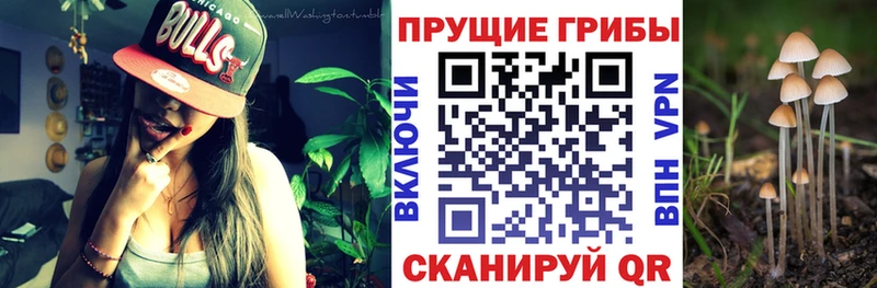 Галлюциногенные грибы ЛСД  Тула 