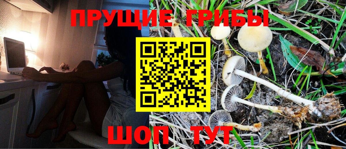 Галлюциногенные грибы Magic Shrooms Тула